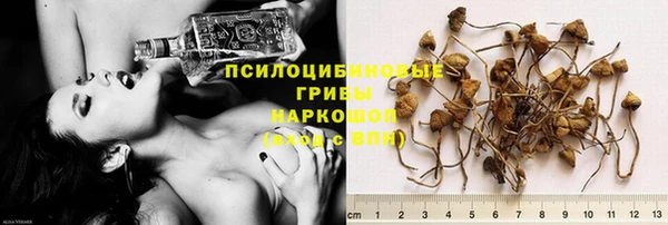 кокс Алзамай