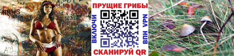 Псилоцибиновые грибы GOLDEN TEACHER как найти закладки Яровое
